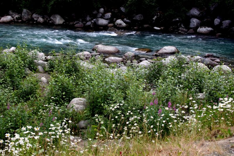 070404 Hope Hatcher Montana Creek (10117)